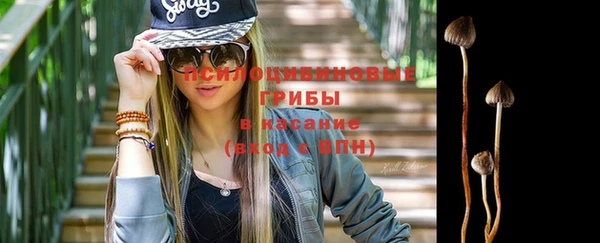 бошки Алзамай