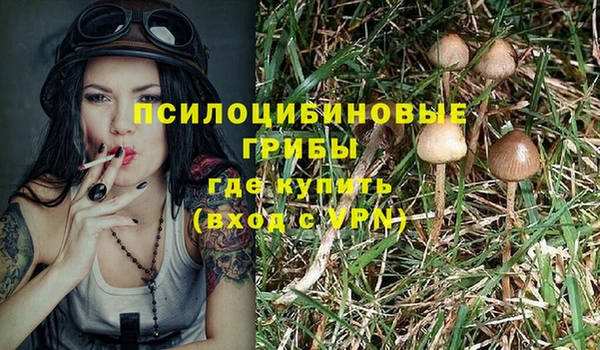 спиды Алексеевка