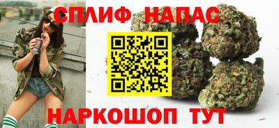 мдпв Заводоуковск