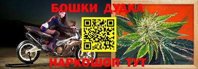 индика Жуковский