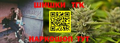 индика Жуковский