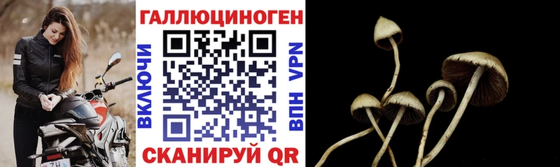 наркошоп  Урай  Галлюциногенные грибы Cubensis 