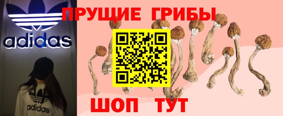 Псилоцибиновые грибы ЛСД  Псилоцибиновые грибы MAGIC MUSHROOMS  Вход с VPN  Урай 